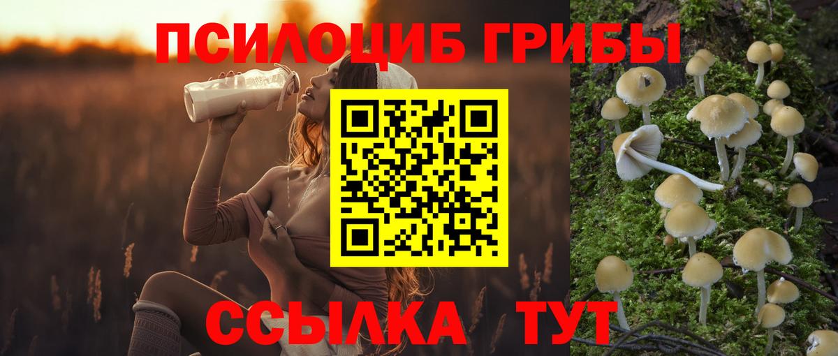 цена наркотик  Вход с VPN  Псилоцибиновые грибы мицелий  Берёзовский  Галлюциногенные грибы MAGIC MUSHROOMS 